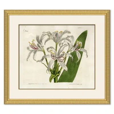 Soicher Marin Curtis Floral Studies - Picture Frame Painting In White;green;yellow