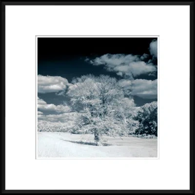 Soicher Marin Deep Blue Landscape' - Picture Frame Photograph On Paper In White;dark Blue
