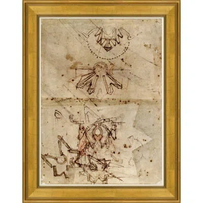 Soicher Marin Disegnare By David Phoenix - Picture Frame Graphic Art On Paper In Brown