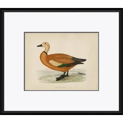 Soicher Marin Duck Series By Paul Cezanne - 4 Piece Picture Frame Graphic Art On Paper Set In Multi