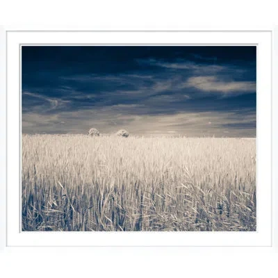 Soicher Marin 'fall Wheat Field' - Picture Frame Photograph On Paper In Animal Print