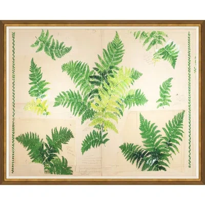 Soicher Marin Fern (var. 1) By Paule Marrot - Single Picture Frame Print In Green