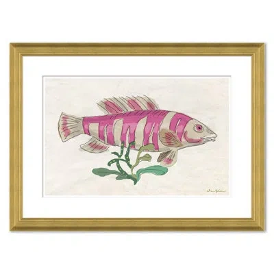Soicher Marin Fish Plaque Pink Stripe By Dana Gibson - Picture Frame Painting In Multi