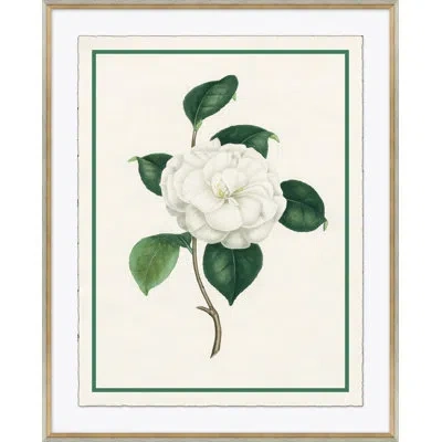 Soicher Marin Flora Iii - Picture Frame Graphic On Paper In Green;beige