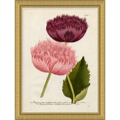 Soicher Marin 'flora In Pink 2' - Picture Frame Painting On Paper In Green;beige;pink
