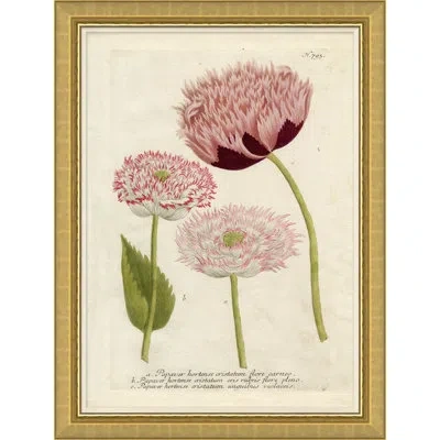 Soicher Marin 'flora In Pink 3' - Picture Frame Painting On Paper In Green;beige;pink