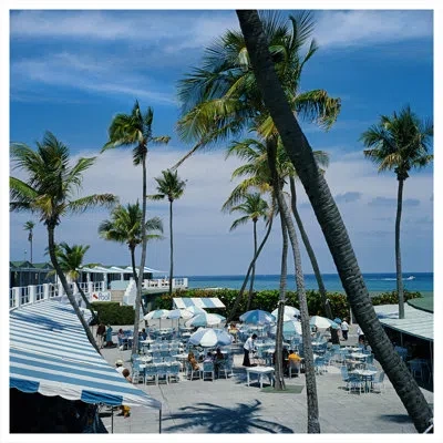 Soicher Marin 'florida Palms' By Slim Aarons - Picture Frame Photograph On Paper In Multi