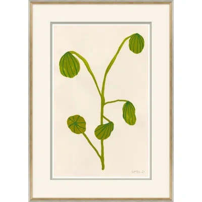 Soicher Marin 'fruity Ii 1' By Susan Hable - Picture Frame Painting On Paper In Green