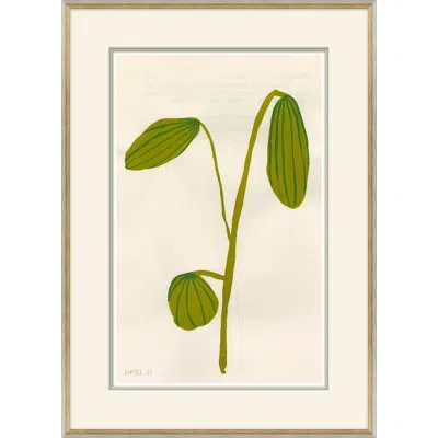 Soicher Marin 'fruity Ii' By Susan Hable - Picture Frame Painting On Paper In Green