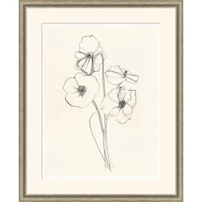 Soicher Marin Gravure Ii - Single Picture Frame Print