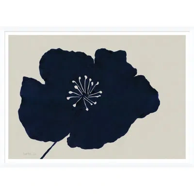 Soicher Marin 'hellebores 1' By Susan Hable - Picture Frame Painting On Paper In Black;beige