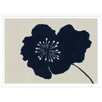 Soicher Marin Hellebores 2 By Susan Hable - Picture Frame Graphic Art On Paper In Beige;navy Blue