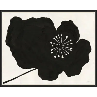 Soicher Marin Hellebores (var. 2) By Susan Hable - Single Picture Frame Print In Black