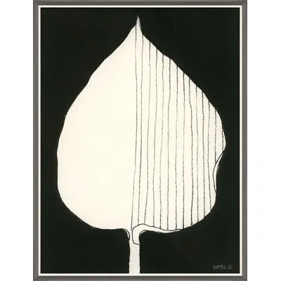 Soicher Marin 'hosta I' By Susan Hable - Picture Frame Graphic Art On Paper In Black