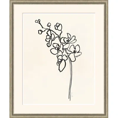 Soicher Marin Impression Iii - Single Picture Frame Print