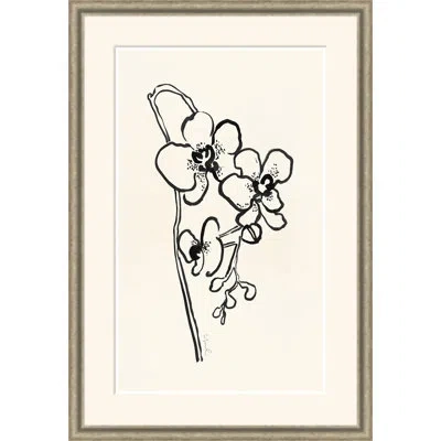 Soicher Marin Impression Iv - Single Picture Frame Print