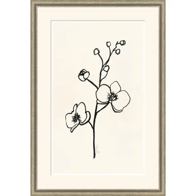 Soicher Marin Impression Vii - Single Picture Frame Print