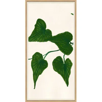 Soicher Marin 'ivy Ii' By Susan Hable - Picture Frame Painting In Green