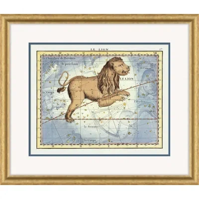 Soicher Marin Leo By David Phoenix - Picture Frame Graphic Art On Paper In Blue;brown