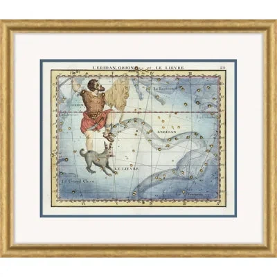 Soicher Marin Libra By David Phoenix - Picture Frame Graphic Art On Paper In Blue;brown