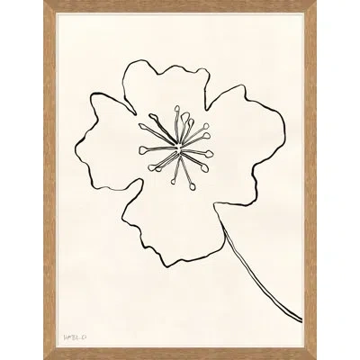 Soicher Marin Line Drawing I By Susan Hable - Picture Frame Painting On Paper In Brown