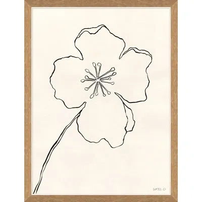 Soicher Marin 'line Drawing Ii' By Susan Hable - Picture Frame Painting On Paper In Animal Print