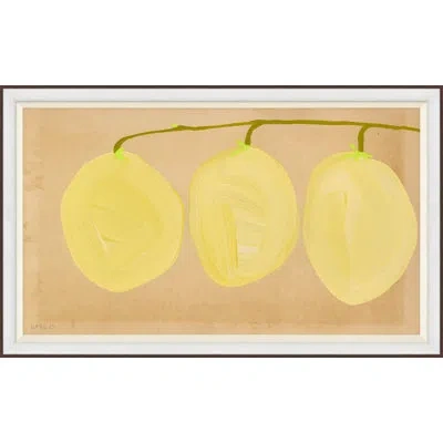 Soicher Marin Loquat' By Susan Hable - Picture Frame Painting On Paper In Brown;yellow
