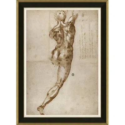 Soicher Marin Lorenzo By David Phoenix - Picture Frame Graphic Art On Paper In Brown;ivory