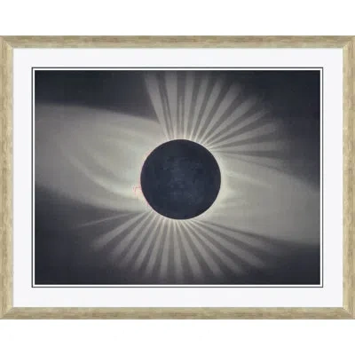 Soicher Marin Luna By David Phoenix - Picture Frame Photograph On Paper In Black;white