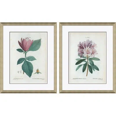 Soicher Marin Magnolia & Rhododendrum By Paul Cezanne - 2 Piece Picture Frame Painting Set On Paper In Multi