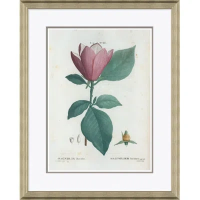 Soicher Marin Magnolia By Paul Cezanne - Picture Frame Painting On Paper In Green;pink