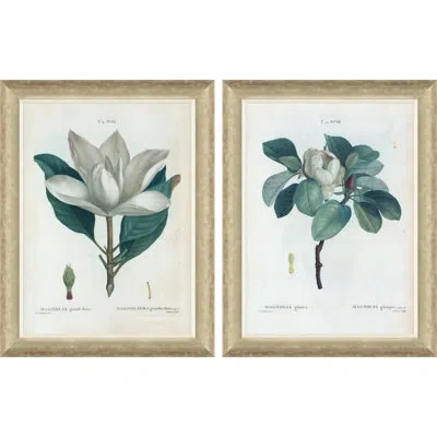 Soicher Marin Magnolias By Paul Cezanne - 2 Piece Picture Frame Painting Set On Paper In Green
