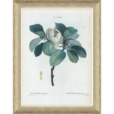 Soicher Marin Magnolias By Paul Cezanne - Picture Frame Painting On Paper In Green;gray