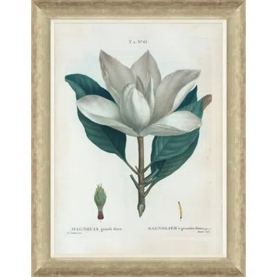 Soicher Marin Magnolias By Paul Cezanne - Picture Frame Painting On Paper In Green;gray