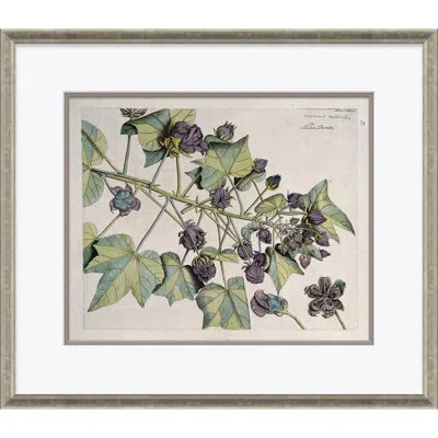 Soicher Marin Malaberica (colored) By Paul Cezanne - Picture Frame Painting On Paper In Blue;green;purple