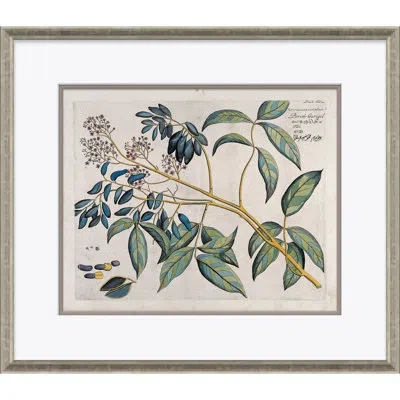 Soicher Marin Malaberica (colored) By Paul Cezanne - Picture Frame Painting On Paper In Blue;green;yellow;pink