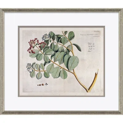 Soicher Marin Malaberica (colored) By Paul Cezanne - Picture Frame Painting On Paper In Green