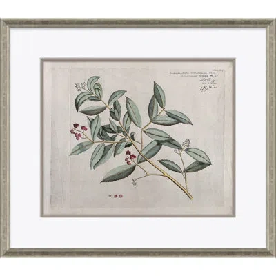 Soicher Marin Malaberica (colored) By Paul Cezanne - Picture Frame Painting On Paper In Green;red;yellow;pink