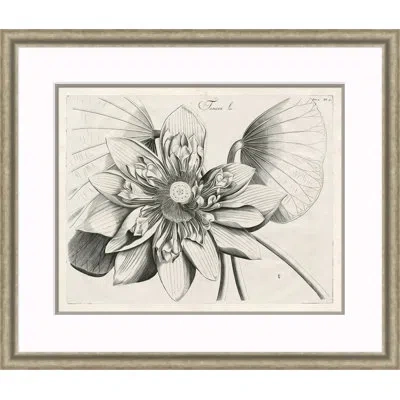 Soicher Marin Malaberica Etching I - Single Picture Frame Print