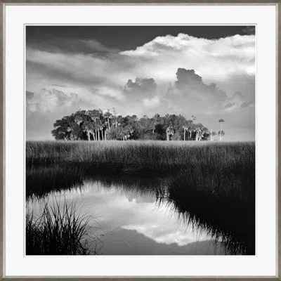 Soicher Marin 'marsh In Black & White' - Picture Frame Photograph On Paper In Black;gray