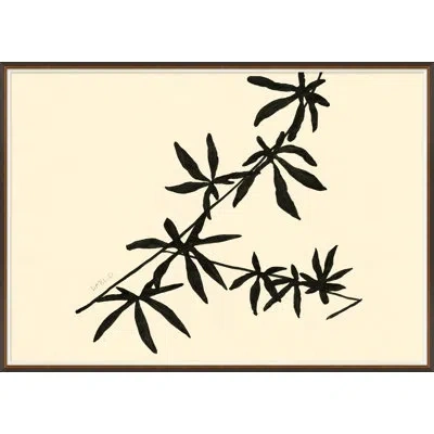 Soicher Marin 'maypop Ii' By Susan Hable - Picture Frame Painting On Paper In Black;beige