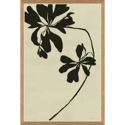 Soicher Marin 'mediterranean Leaf' By Susan Hable - Picture Frame Painting On Paper In Black;beige