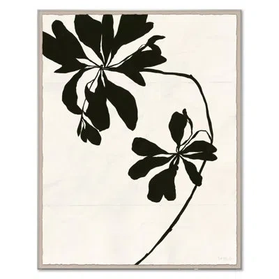Soicher Marin Mediterranean Leaf (var. 2) By Susan Hable - Single Picture Frame Print In Multi