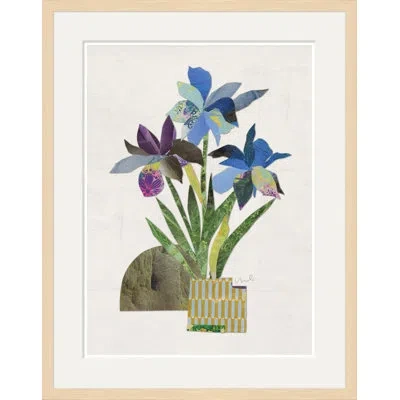 Soicher Marin Minima Ii - Single Picture Frame Print
