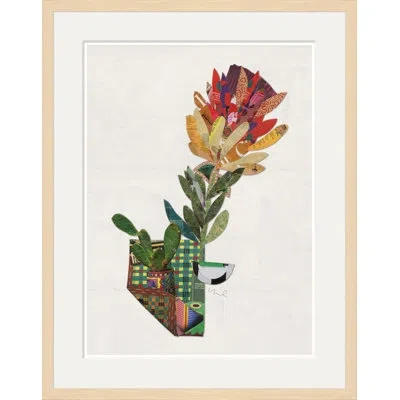 Soicher Marin Minima V - Single Picture Frame Print