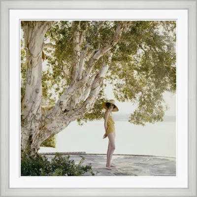 Soicher Marin 'model By Tree' By Forlano Sante - Picture Frame Photograph On Paper In Green