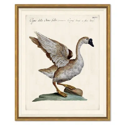 Soicher Marin Odd Birds Painting In Brown