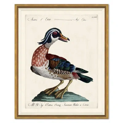 Soicher Marin Odd Birds Painting In Multi