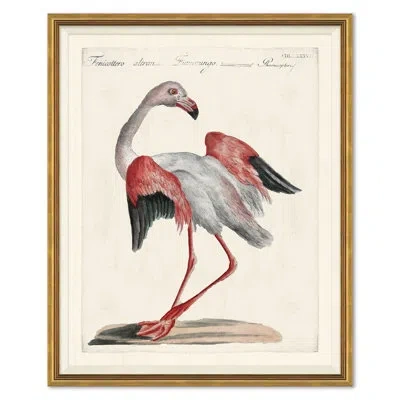 Soicher Marin Odd Birds Painting In Brown