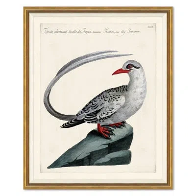Soicher Marin Odd Birds Painting In Multi